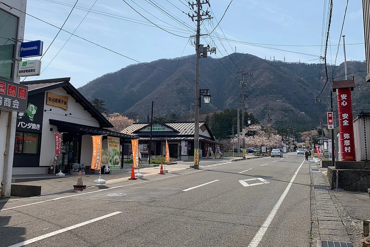 弥彦駅から彌彦神社方面へ続く外苑坂通り
